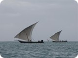 Tanzania-104
